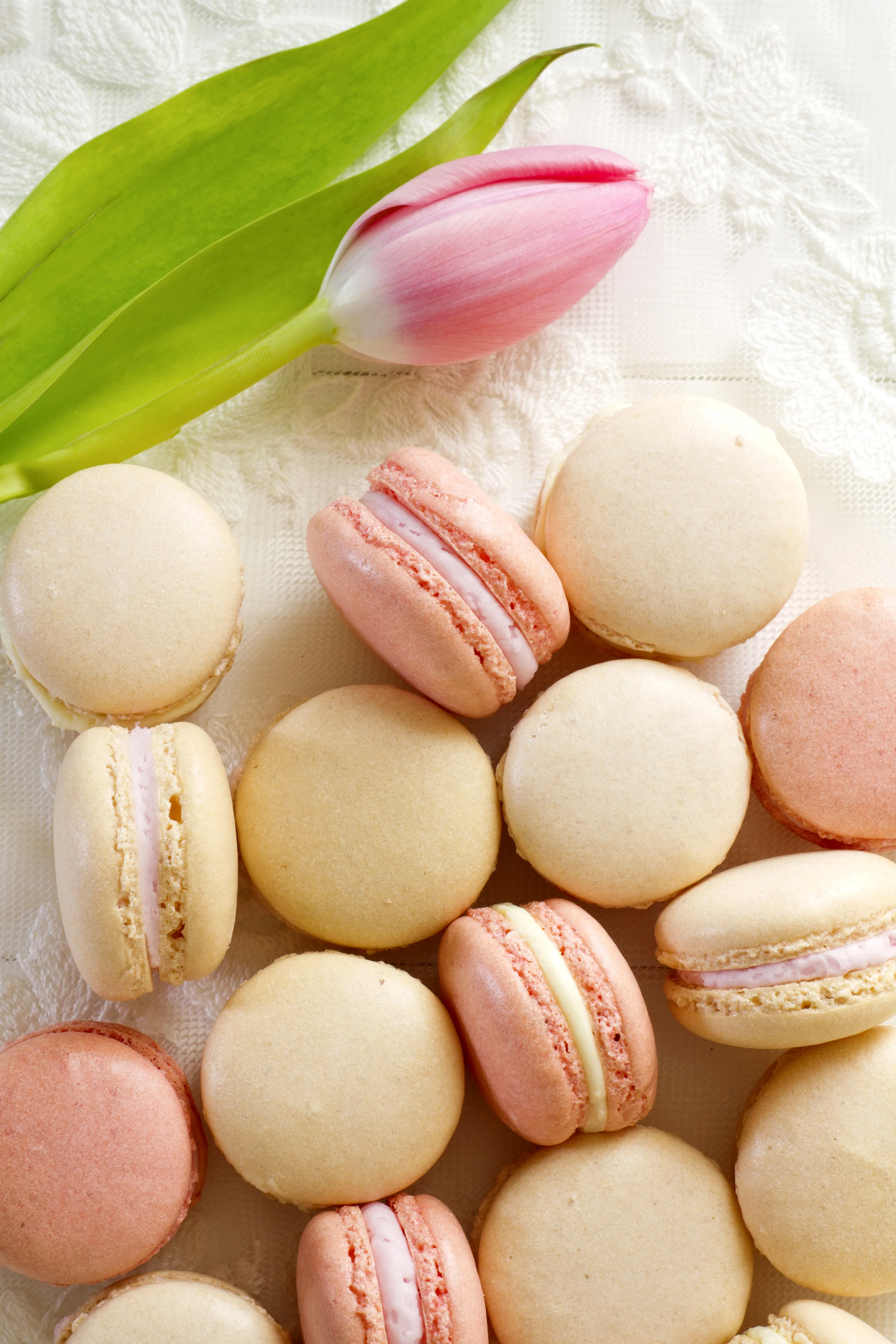 macarons.jpg
