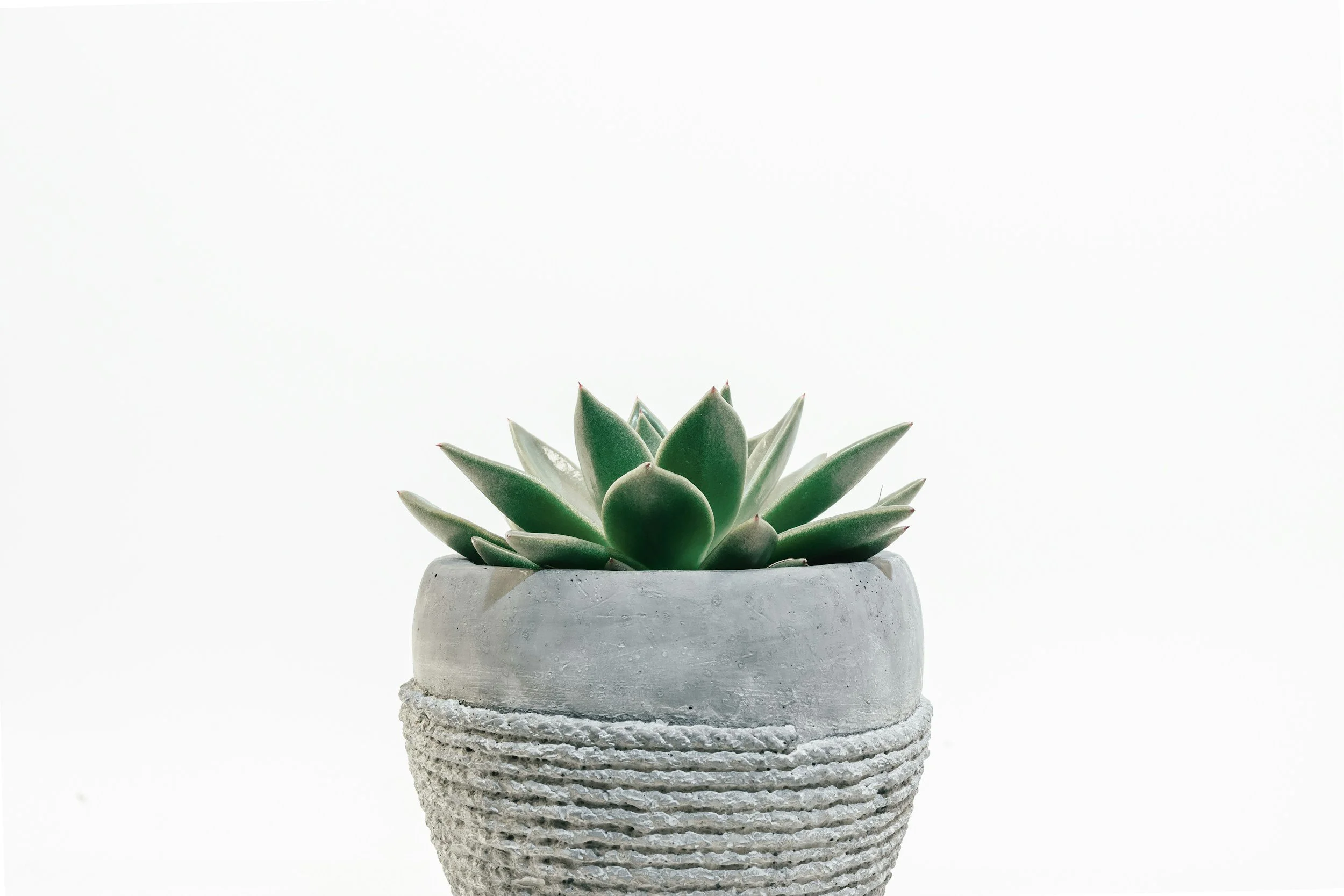 unsplash-image-WwWkgOMU8H8.jpg