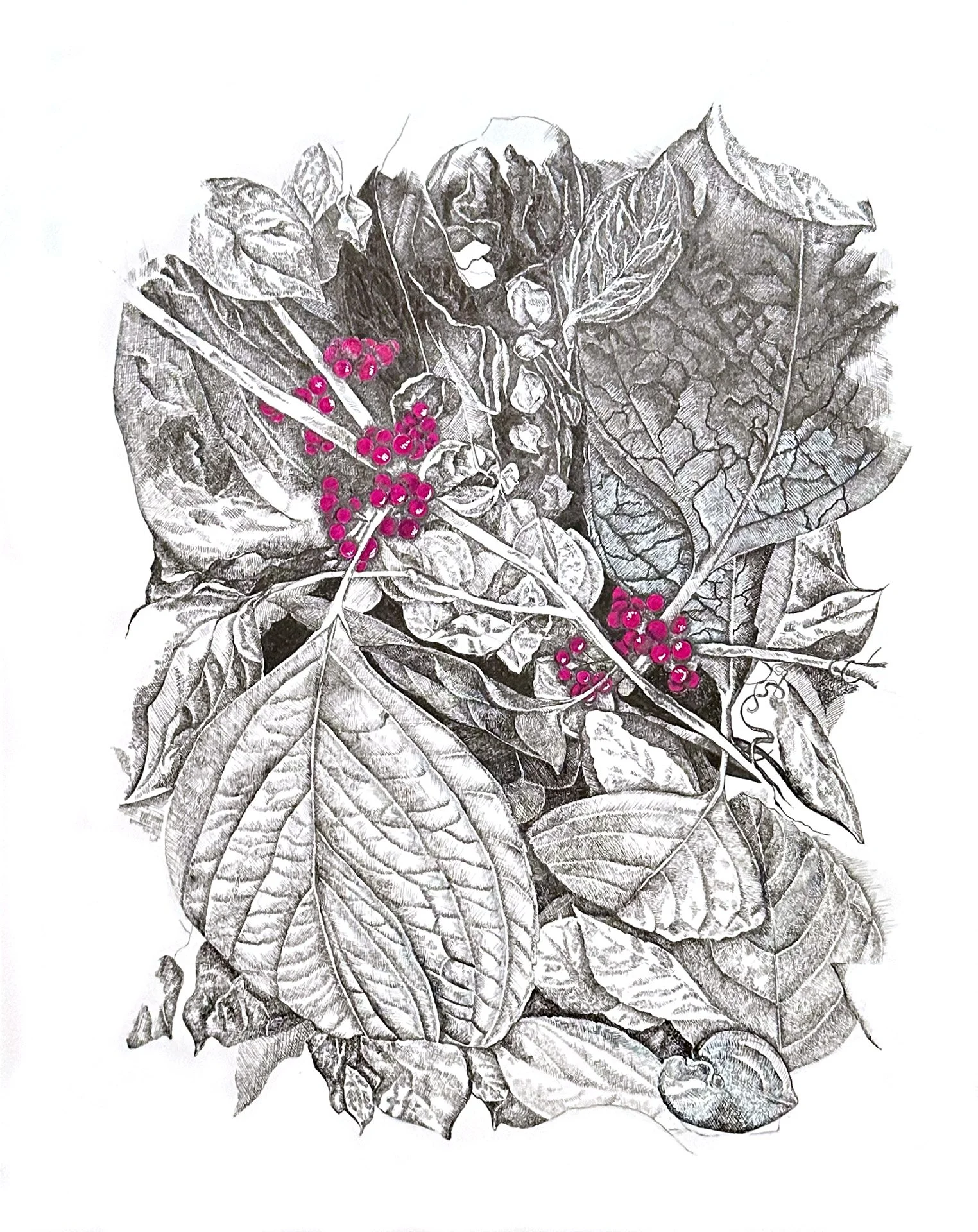 ChampionKim-GLUG-2 copy.jpg