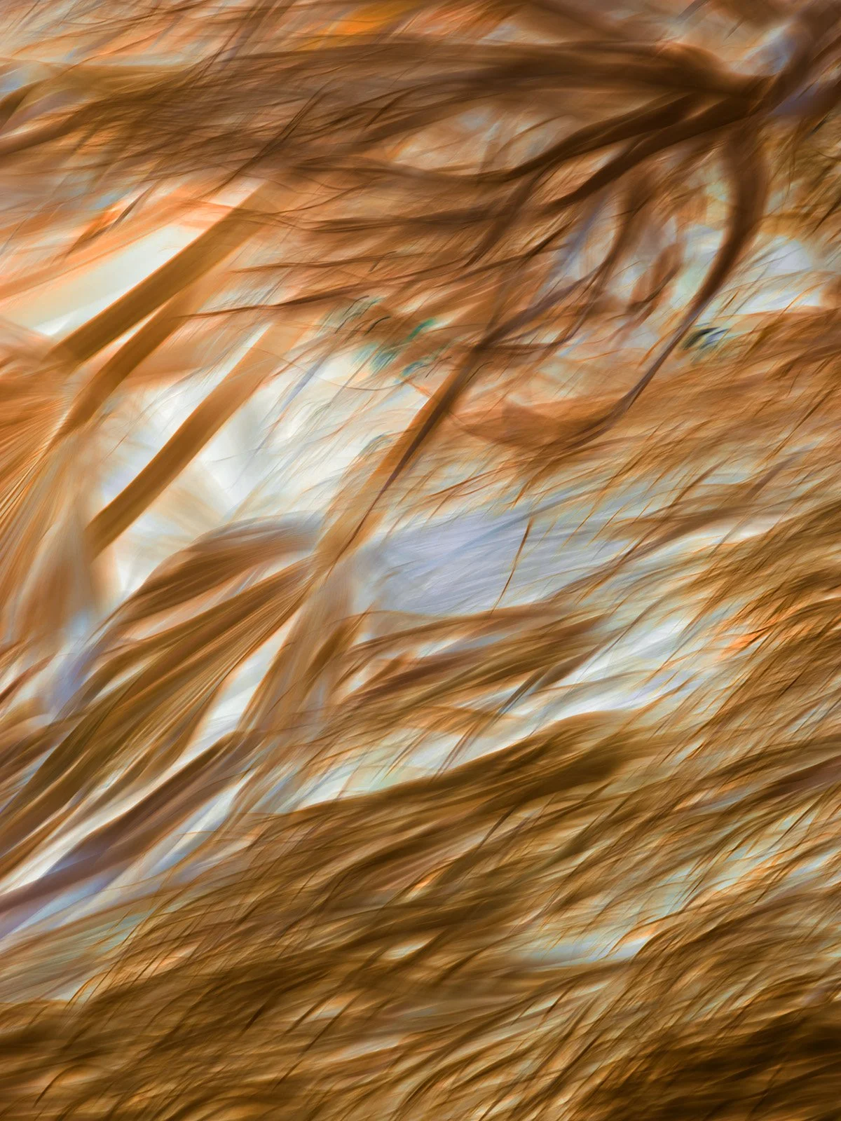 Irene Imfeld_Zone of Transformation 2327 - Irene Imfeld.jpg