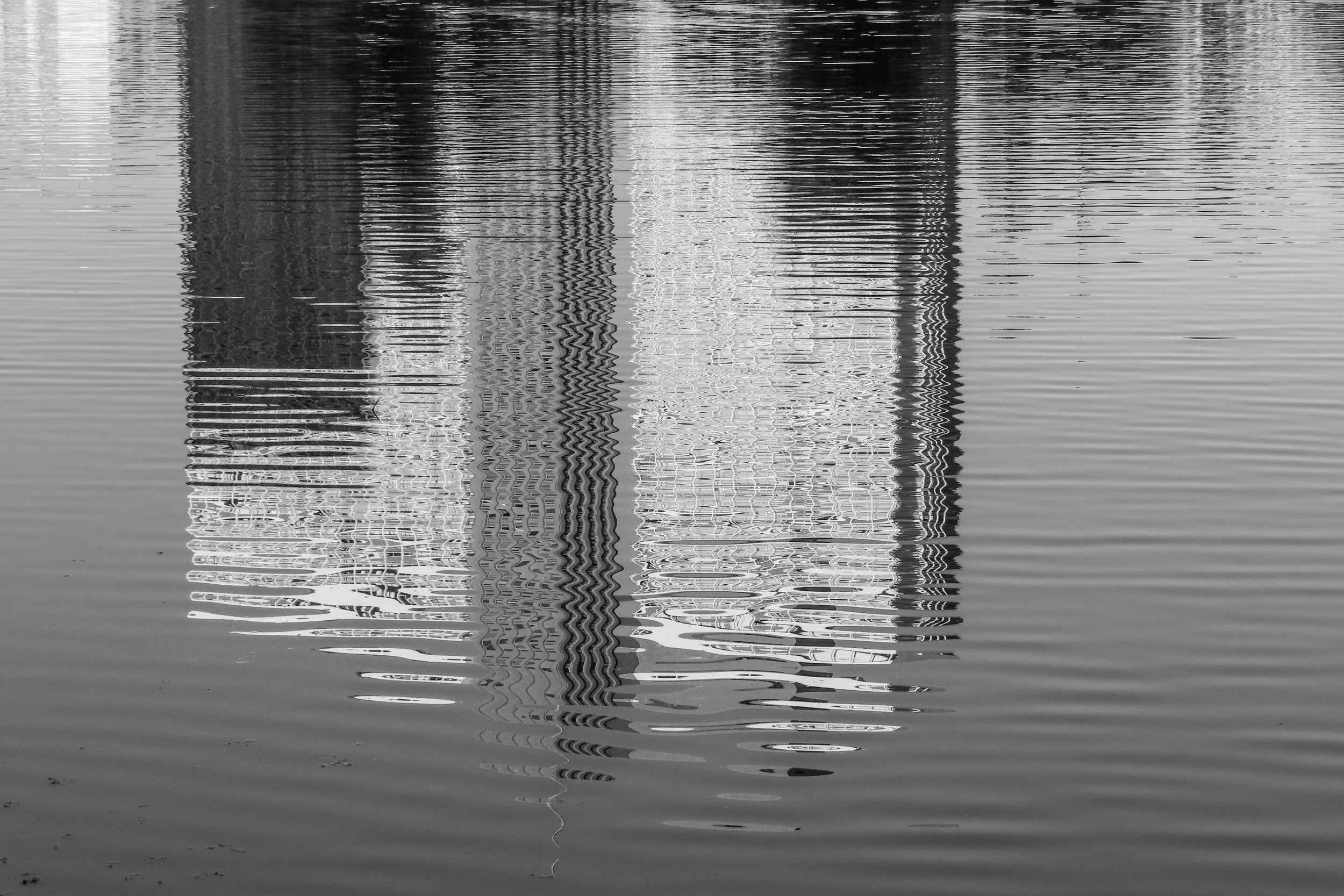 Andrews Lake Merritt Reflection BW .jpg