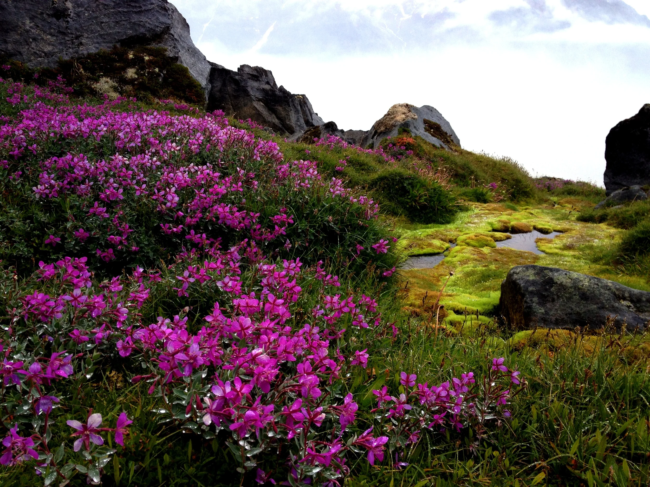 Striking colors in Greenland