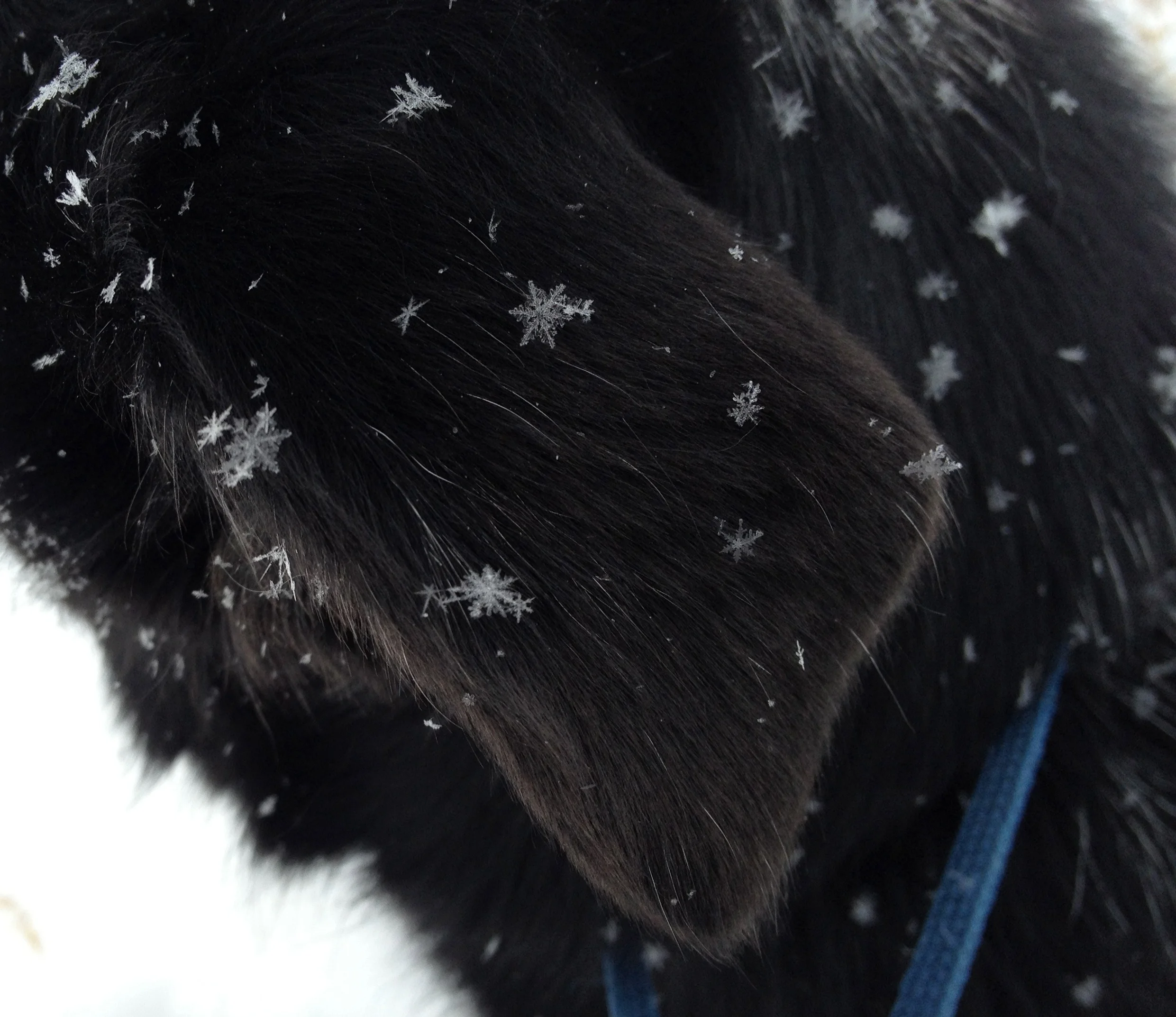 It snowed off and on...