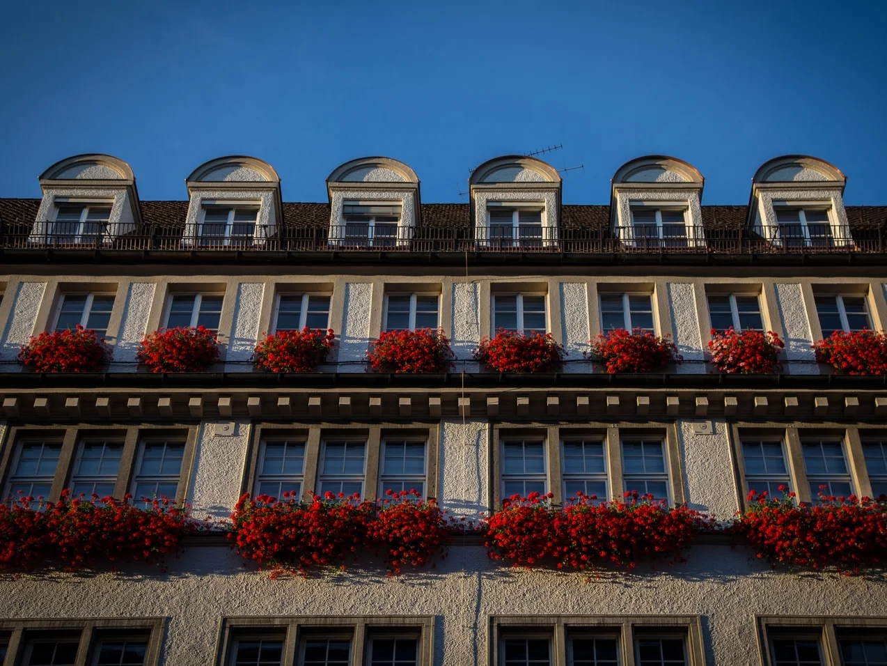 A random building and flowers.