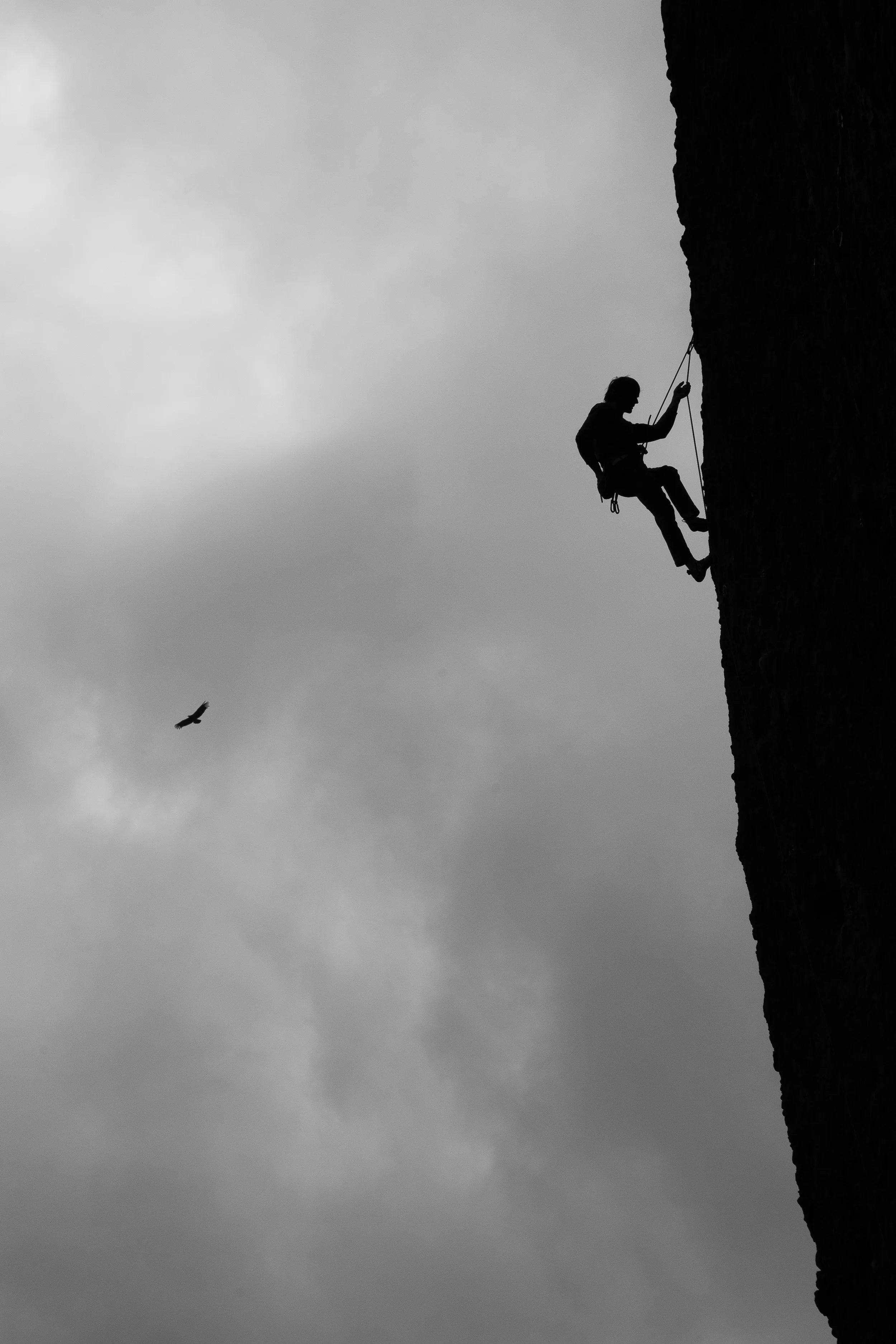 Ethan and a circling condor at Las Chilcas.