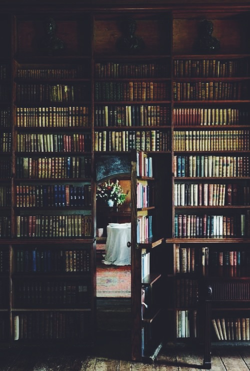 Bookshelf hidden room door ITCHBAN.com