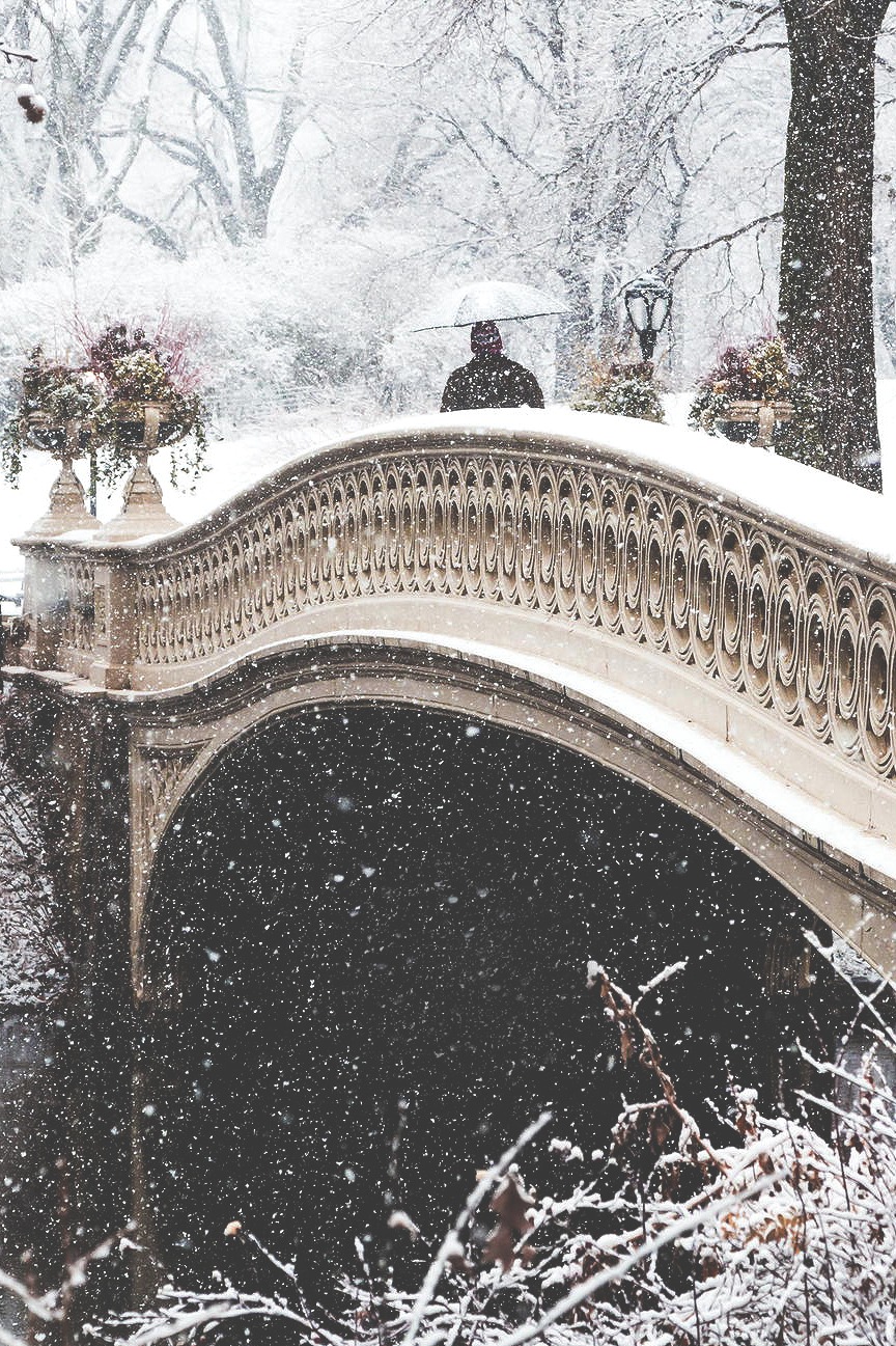 Snowy central park bridge ITCHBAN.com