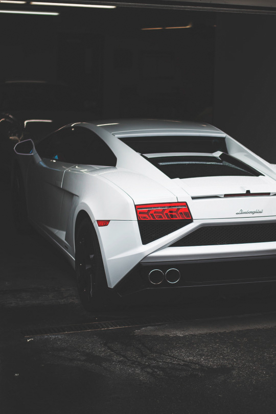 White Lamborghini ITCHBAN.com