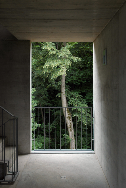 Concrete building stairs corridor with tree ITCHBAN.com