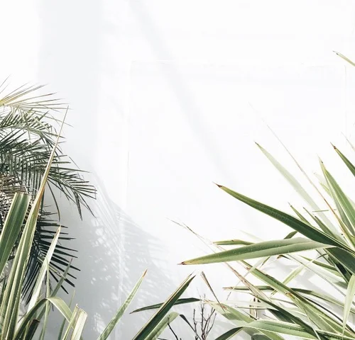Visual Inspirations 016 4632016 ITCHBAN.com.jpg