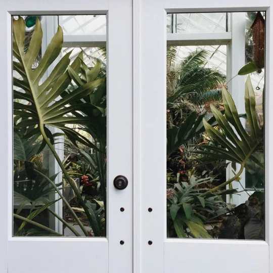 Visual Inspirations 018 21.jpg