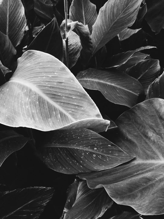 Visual Inspirations 018 26.jpg