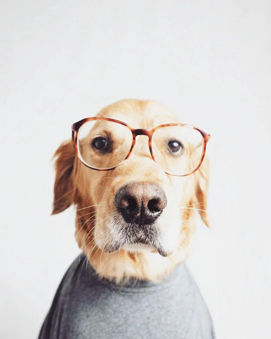 Visual Inspirations 019 13.jpg