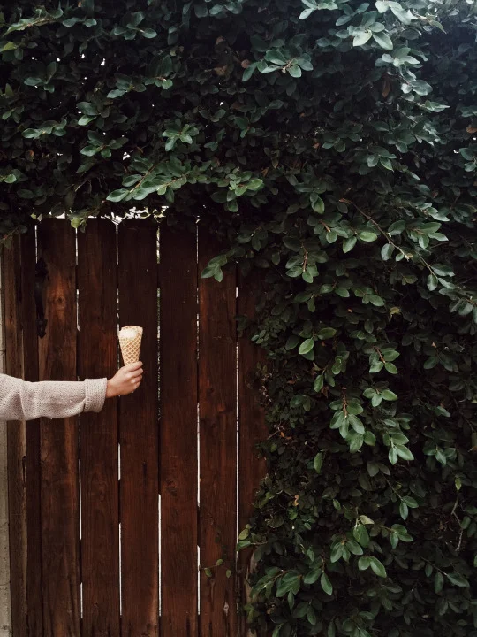 Visual Inspirations 019 24.jpg