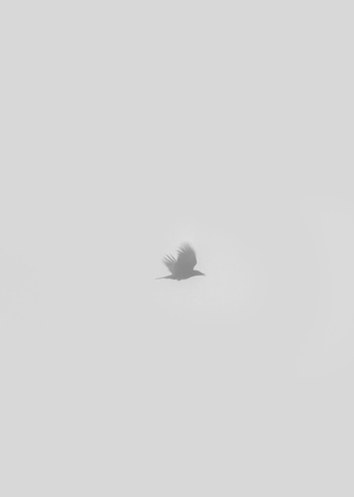 Visual Inspirations 020 49.gif