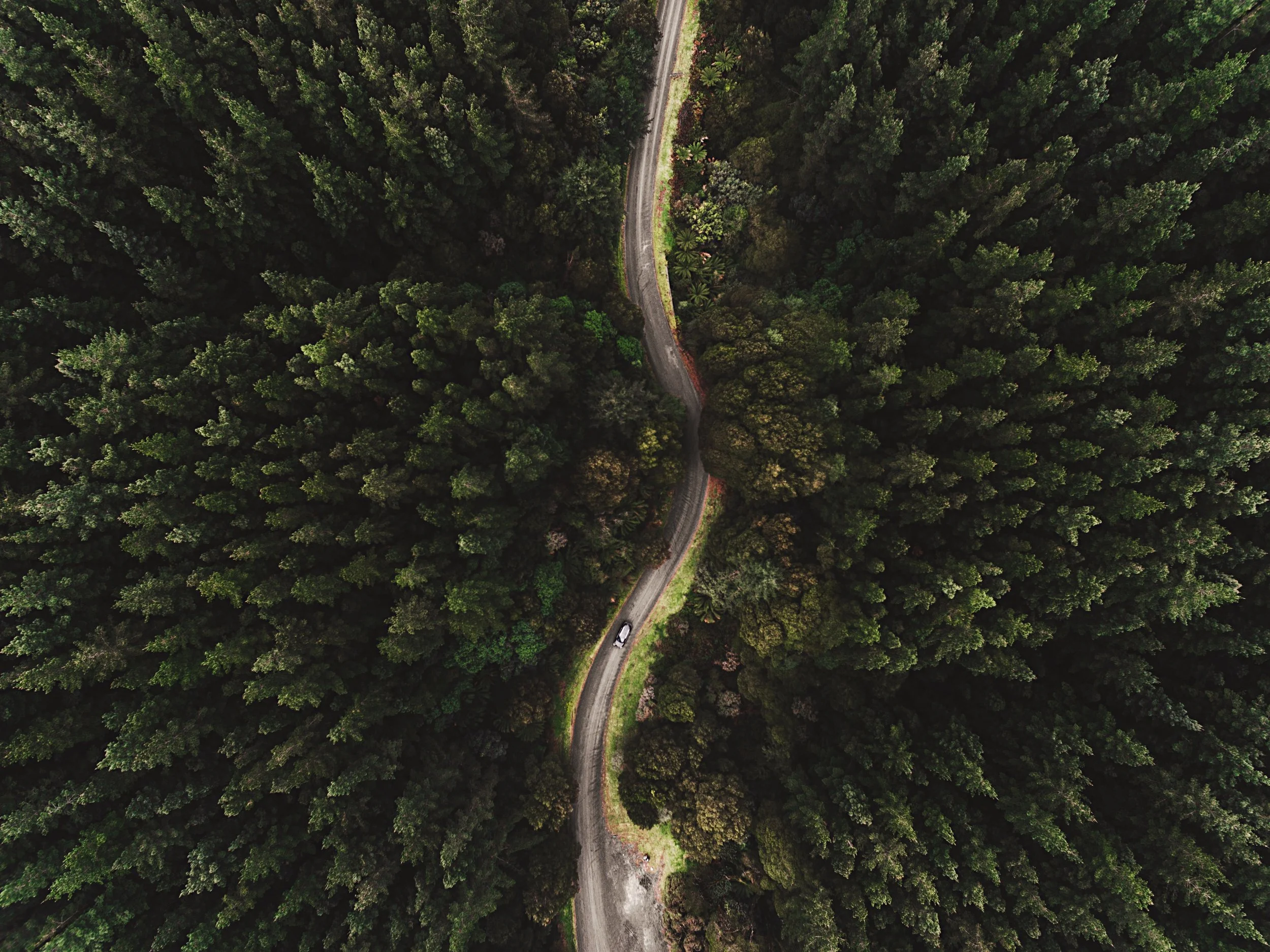 Lexus - Social content