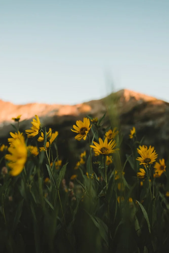 Visual Inspirations 023 40.jpg