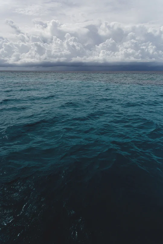 Visual Inspirations 024 11.jpg