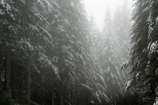 Visual Inspirations 025 4.jpg