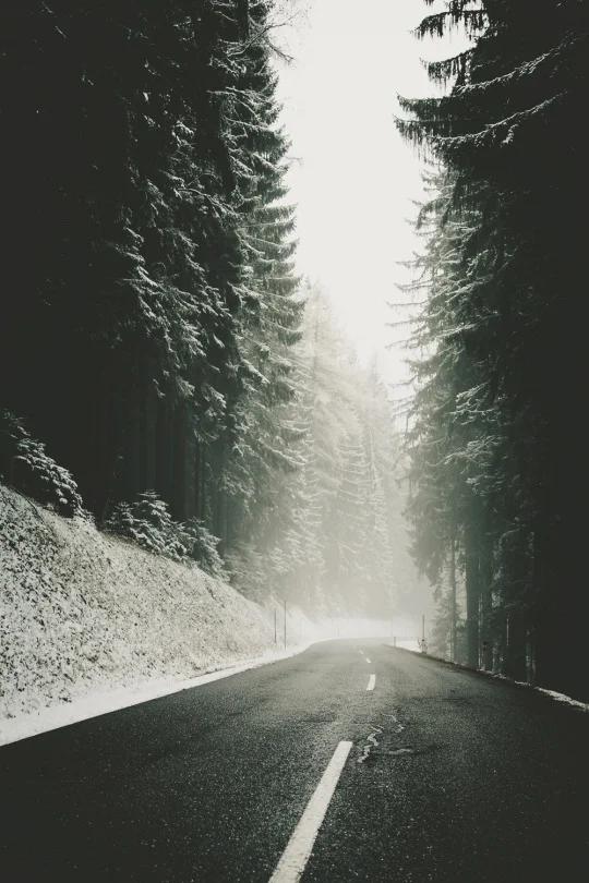 Visual Inspirations 025 17.jpg