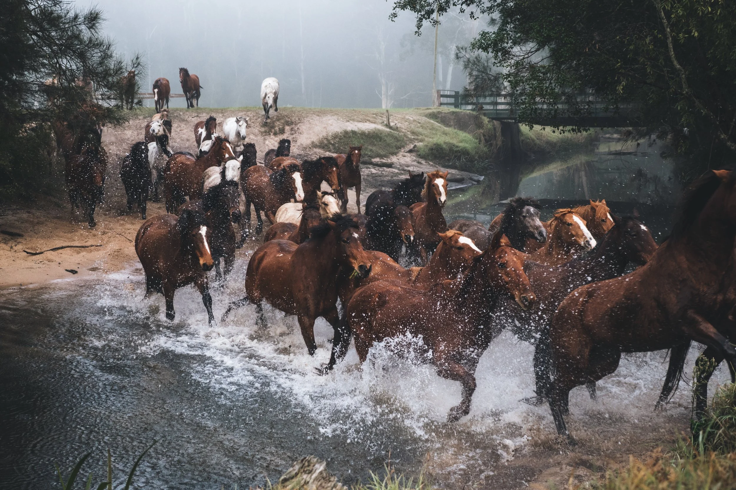 Lumix - GX8 Launch Campaign