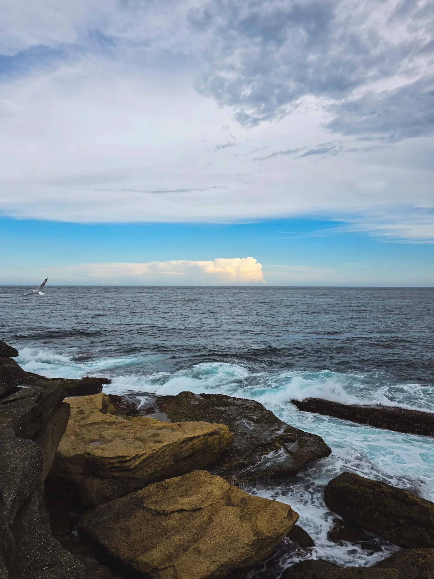 Samsung Galaxy S25 Ultra Camera & Photo Samples — itchban