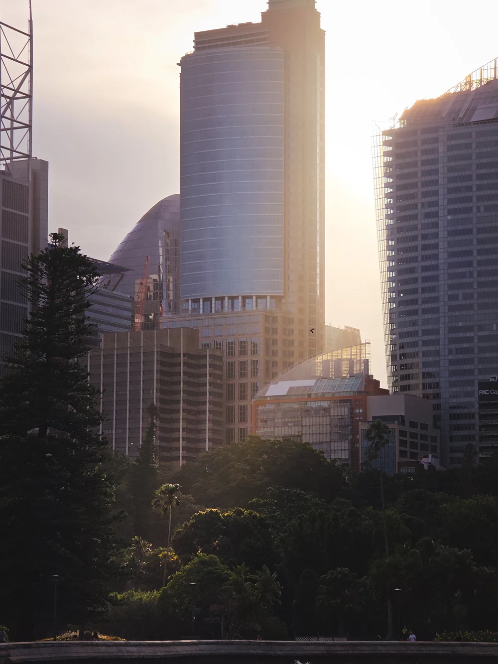 Samsung Galaxy S25 Ultra Camera & Photo Samples — itchban