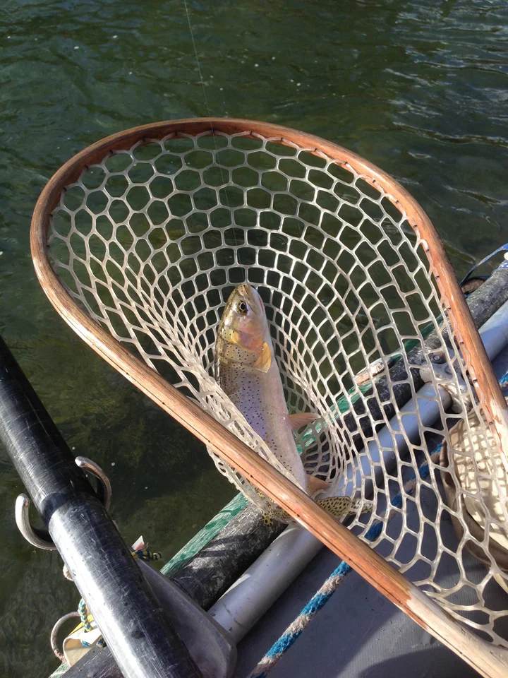 One out of three fish that I caught!