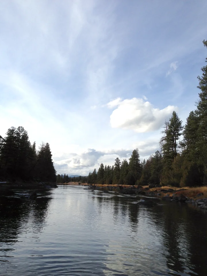 Yeap, I fished in the same river as Brad Pitt. &nbsp;