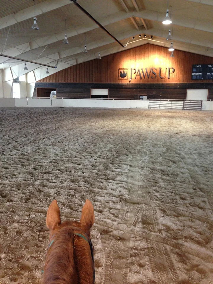 My horse Caramel, he was a good horse.