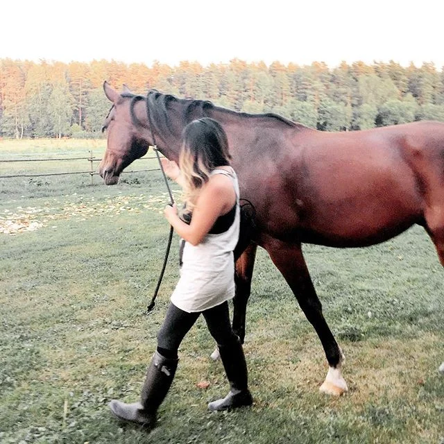 Still one of my favorite travel memories of all time, can you tell how much I love horses?  #travelerinlatvia #riga #horsebackriding #ilovehorses