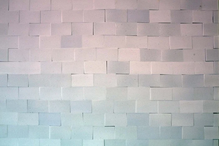 detail with projection