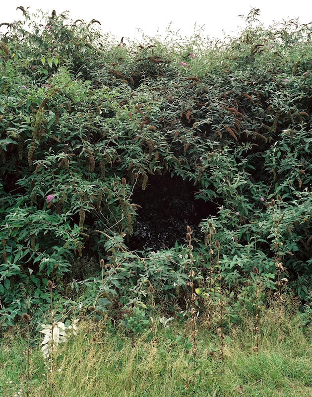 the_black_hole_14.jpg