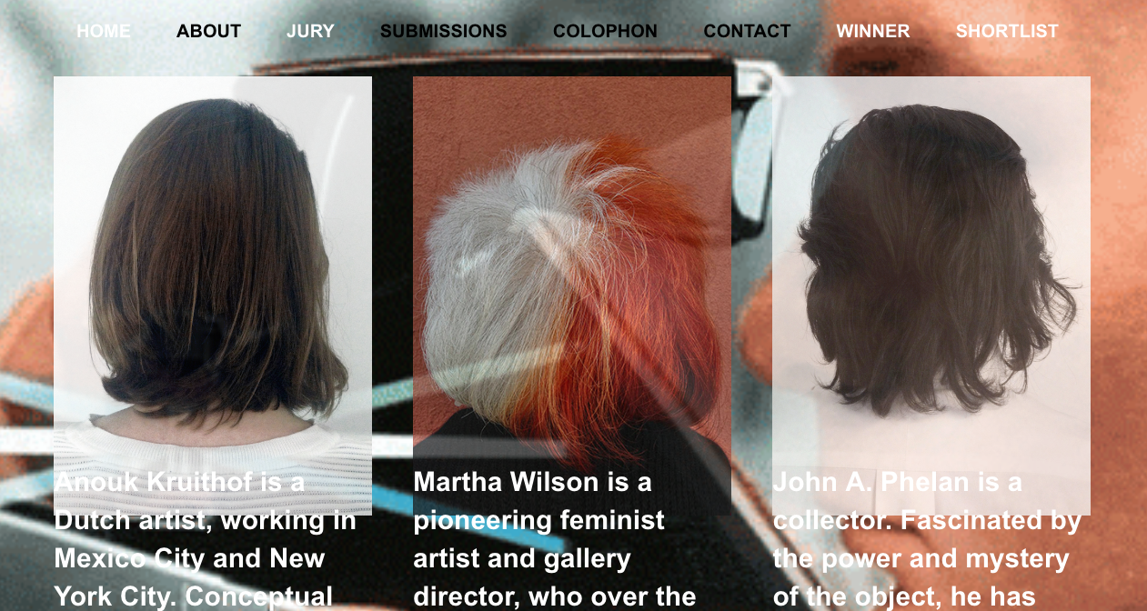 The Second edition of The Anamorphosis Prize , which I co-created last year is now open for submissions. the new jury member is Martha Wilso n