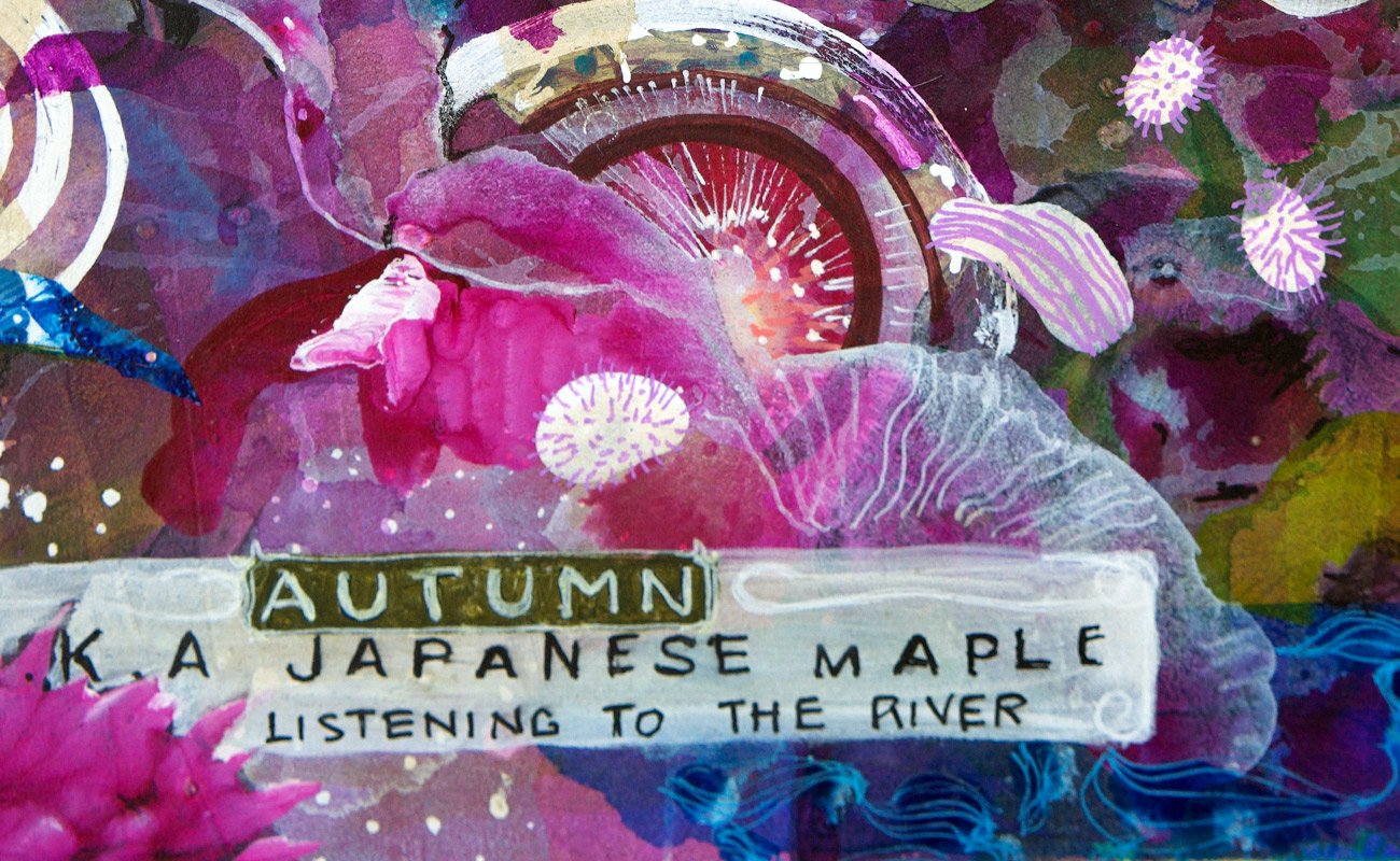 a.k.a-japanese_maple3.jpg