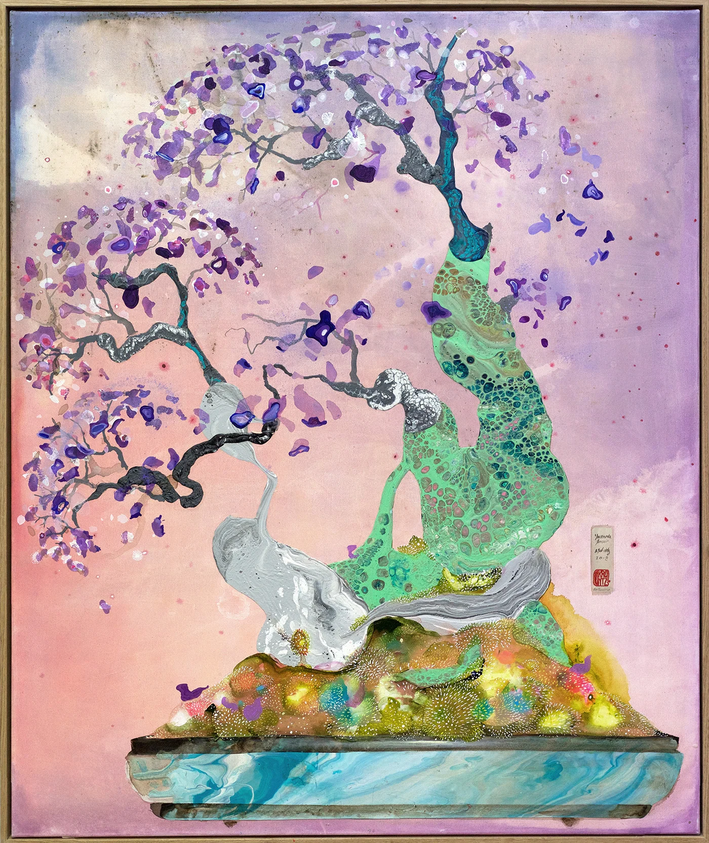 jacaranda_bonsai1.jpg