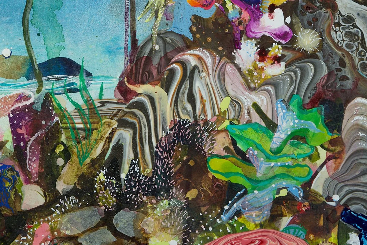 Tropical_Almond_tree_3.jpg