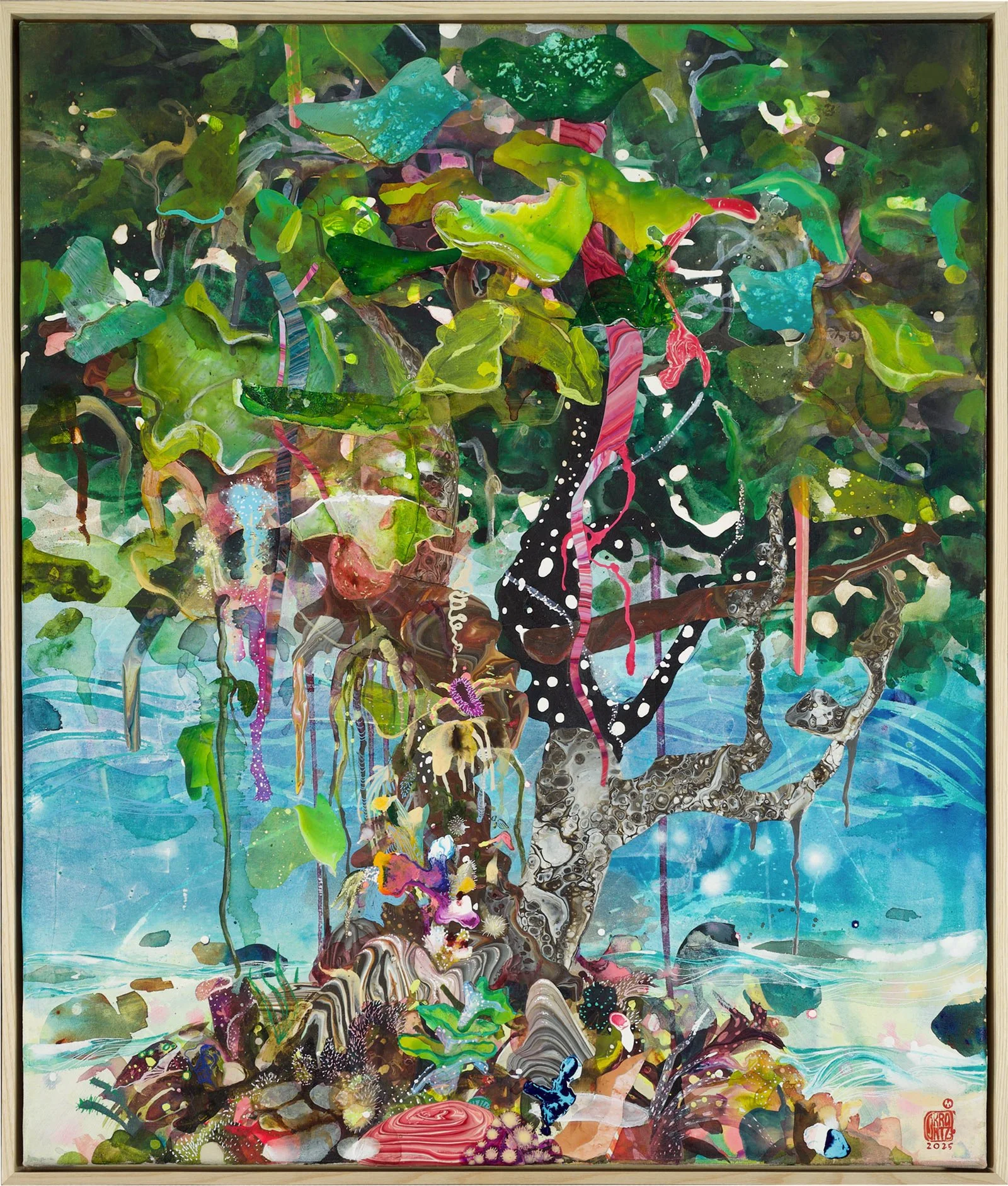 Tropical_Almond_tree_1.jpg