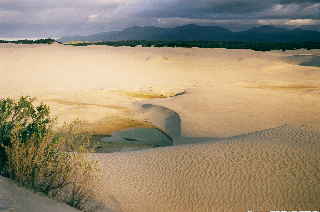 The Big Drift - Wilsons Prom - Dean Raphael - Fuji Superia 400