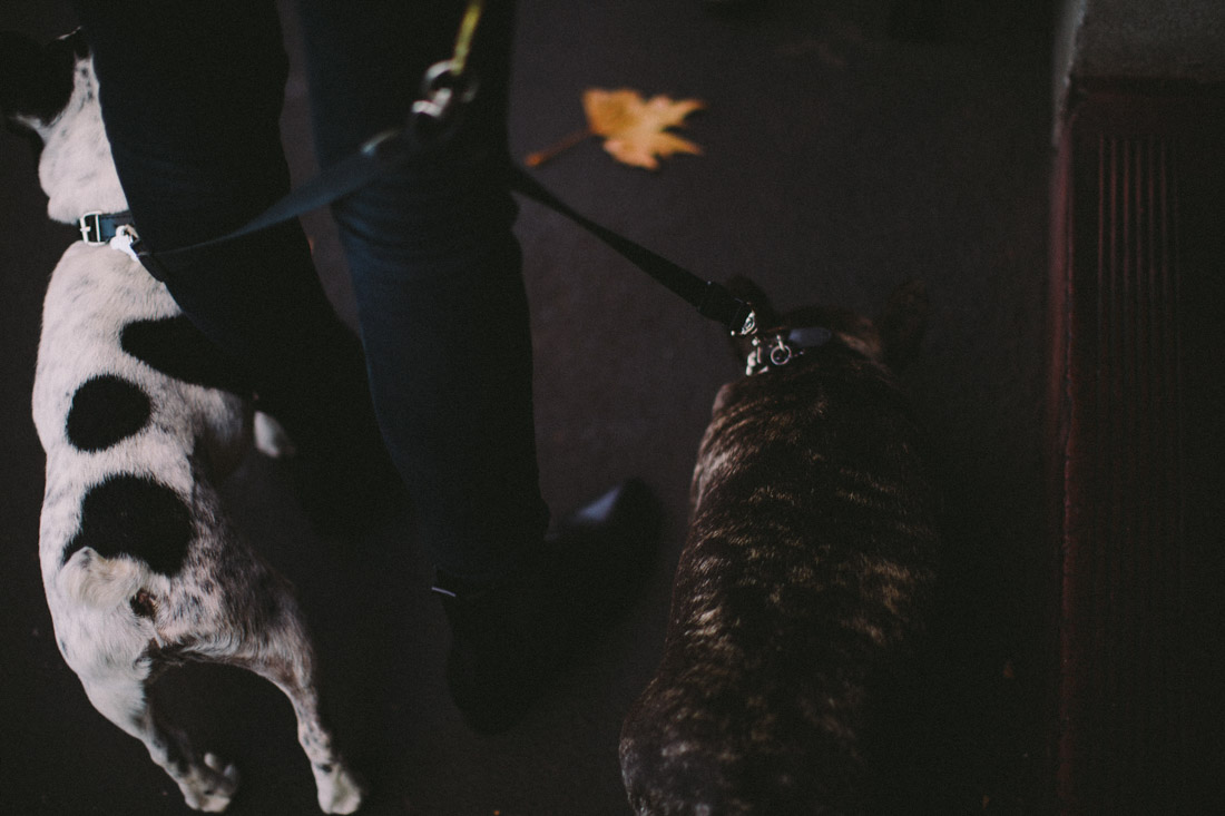 Melbourne Engagement-Dean Raphael-2.jpg