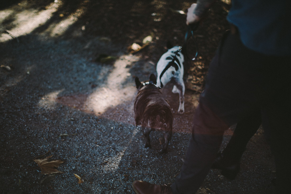 Melbourne Engagement-Dean Raphael-16.jpg
