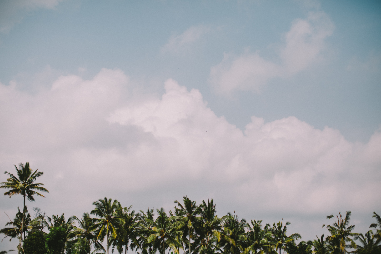 Bali Aug 15-Dean Raphael-23.jpg