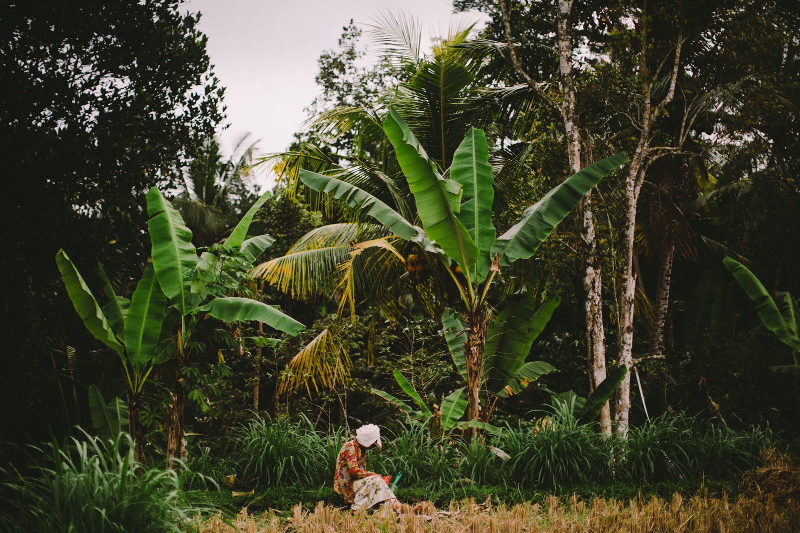 Bali Aug 15-Dean Raphael-26.jpg
