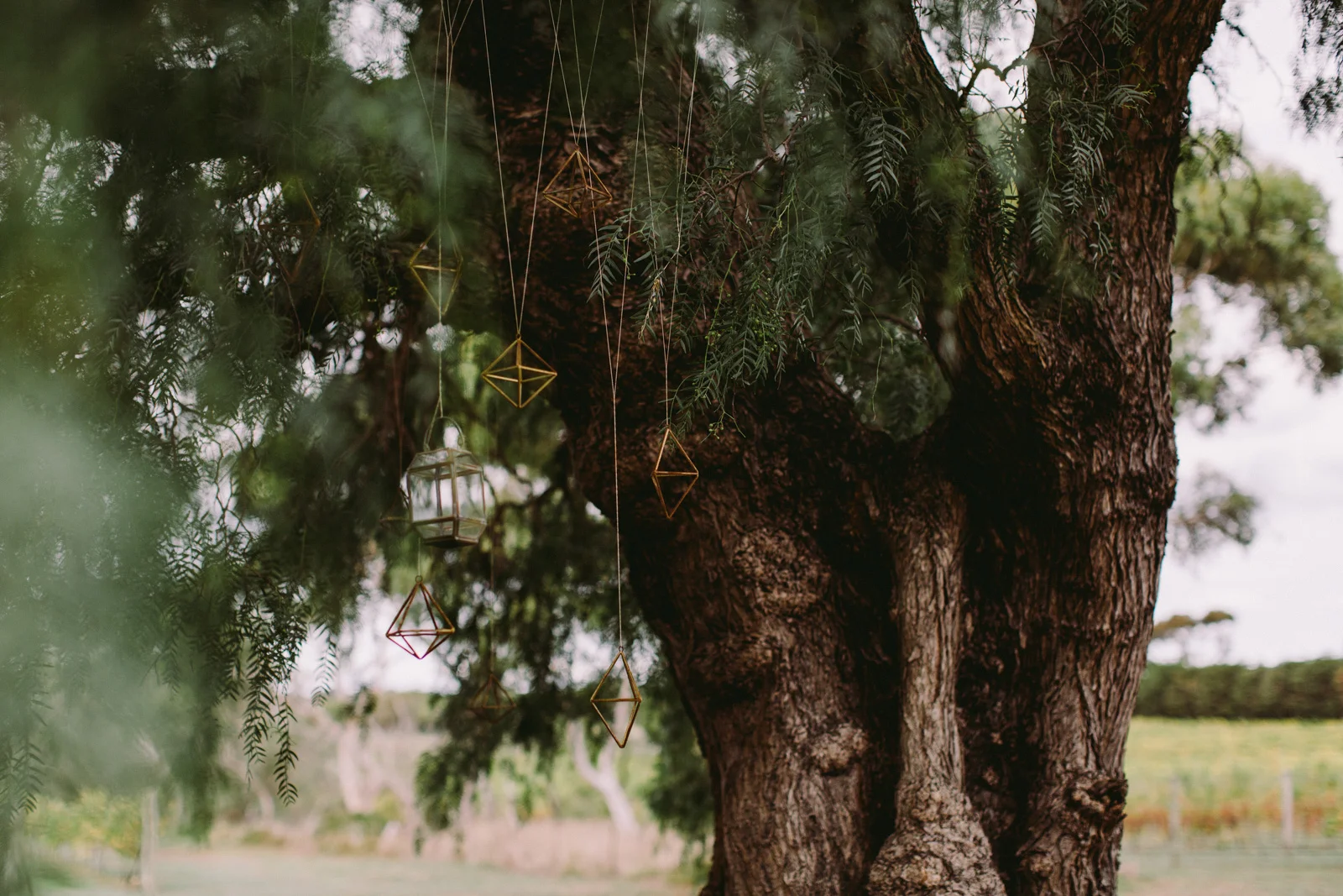 Baie Wines Wedding-B+D-Dean Raphael-55.jpg