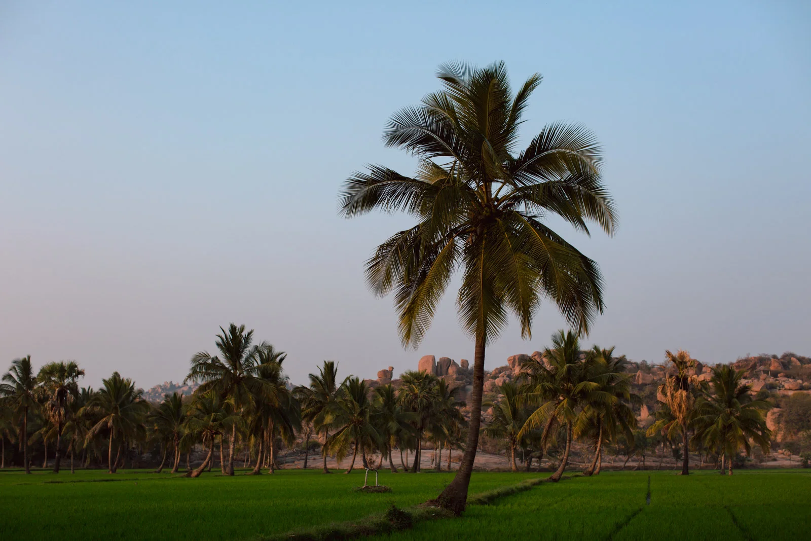 Hampi-Dean Raphael-17.jpg