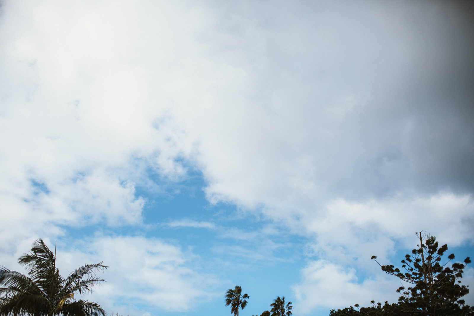 V+E Byron Bay Wedding Secret Garden-Dean Raphael-14.jpg