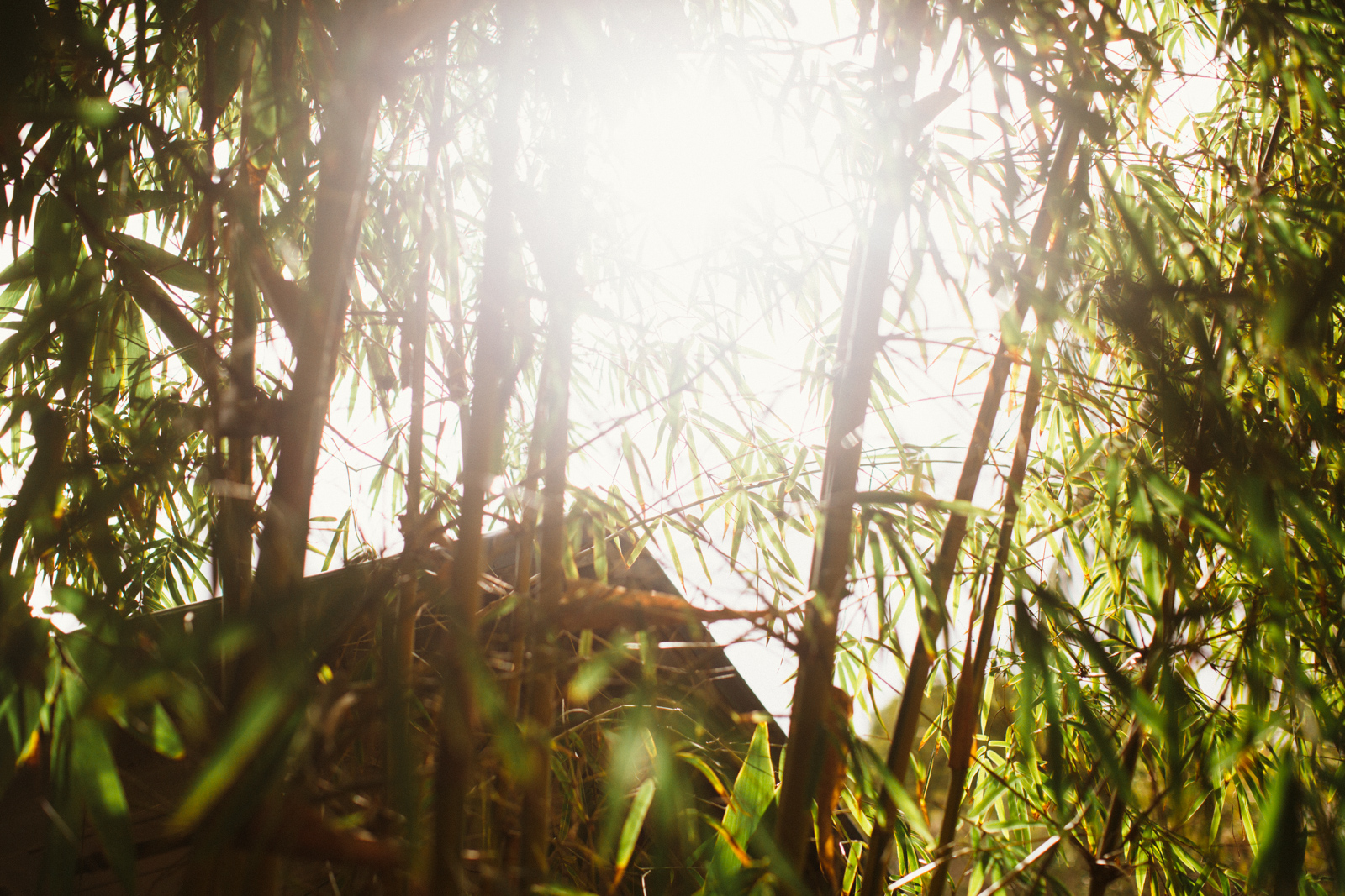 V+E Byron Bay Wedding Secret Garden-Dean Raphael-25.jpg
