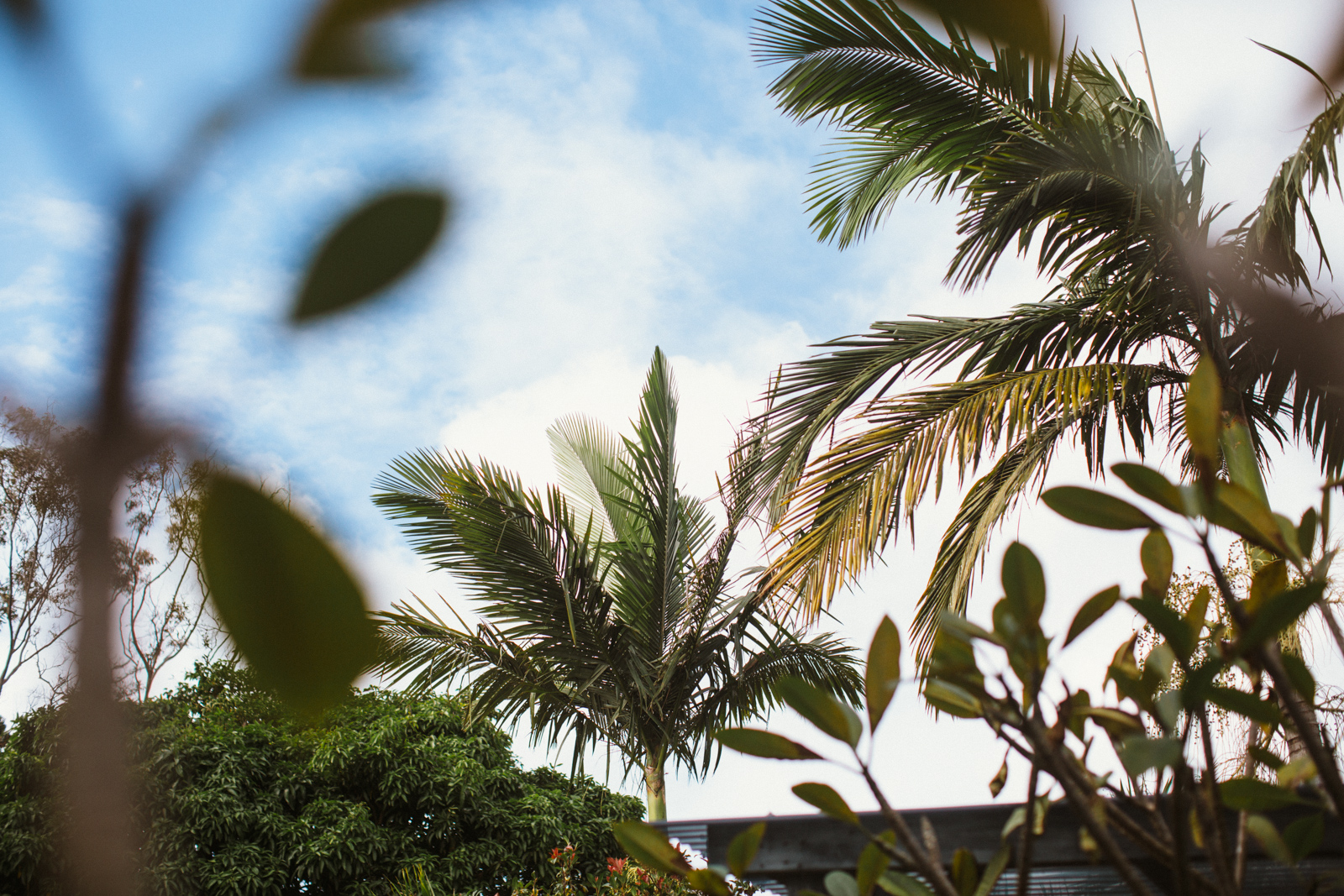 V+E Byron Bay Wedding Secret Garden-Dean Raphael-28.jpg