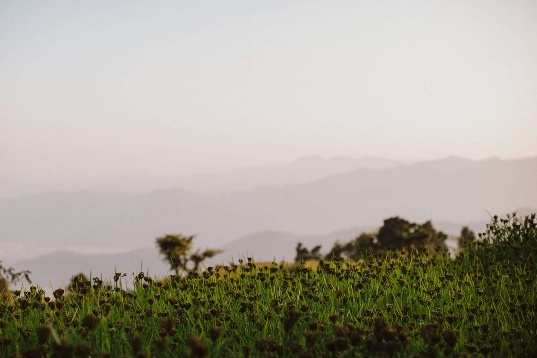 Nepal 2016 Oct-Dean Raphael-89.jpg