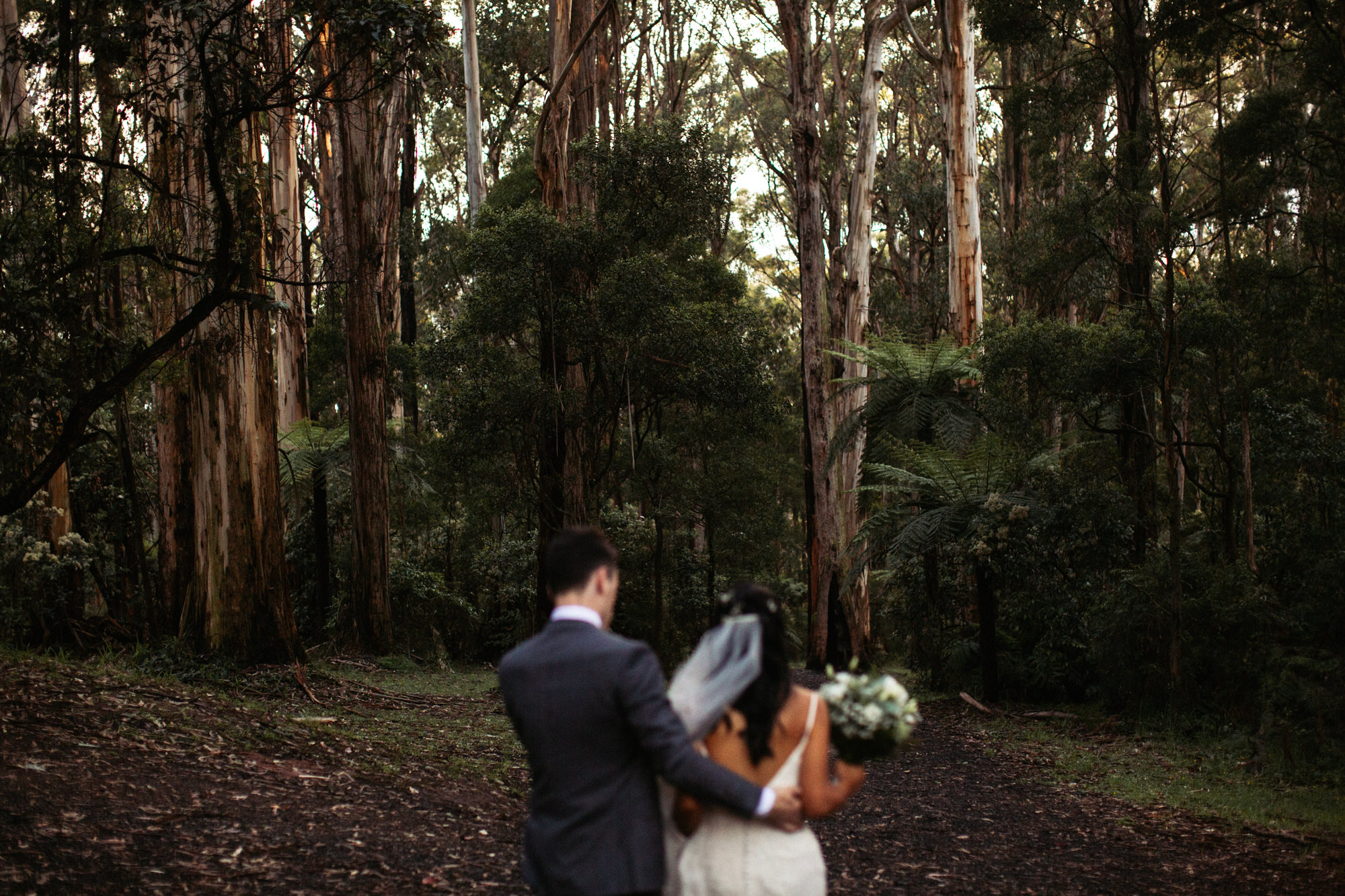RR-Lyrebird Falls Wedding-Dean Raphael Melbourne Wedding Photographer-125.jpg